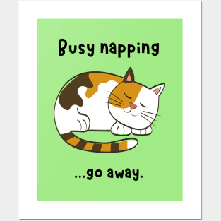 Cat (busy napping.. go away) Posters and Art